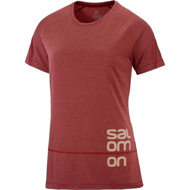 Red Salomon Cross Run Graphic Short Sleeve Women's T-Shirts | PH 69872I